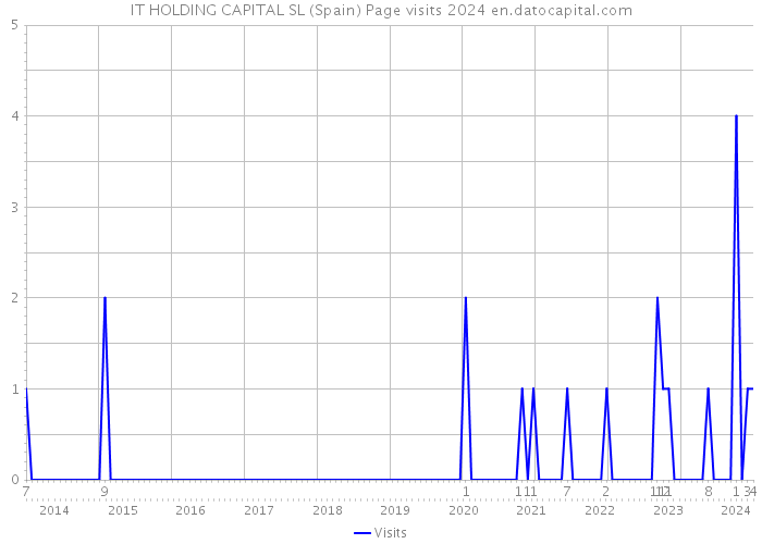 IT HOLDING CAPITAL SL (Spain) Page visits 2024 