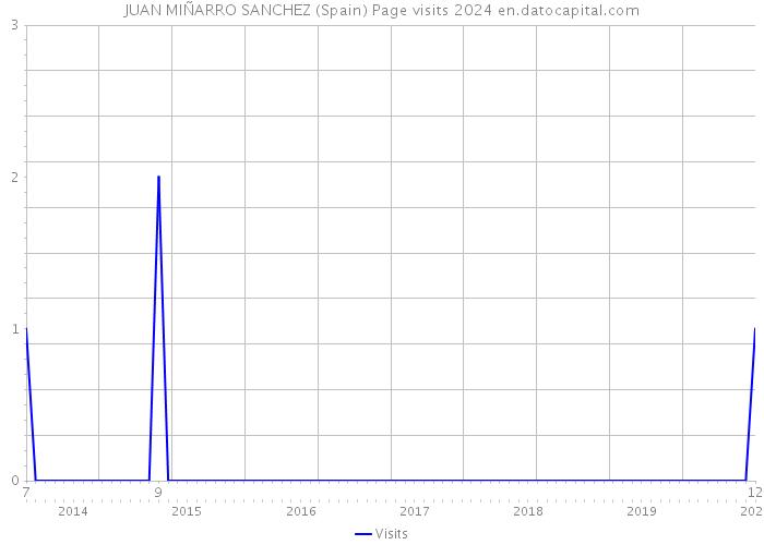 JUAN MIÑARRO SANCHEZ (Spain) Page visits 2024 