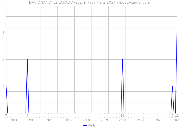 DAVID SANCHEZ LAVADO (Spain) Page visits 2024 