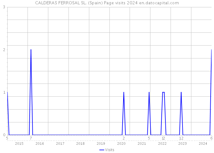 CALDERAS FERROSAL SL. (Spain) Page visits 2024 