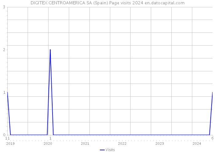 DIGITEX CENTROAMERICA SA (Spain) Page visits 2024 