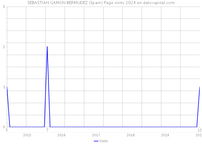 SEBASTIAN GAMON BERMUDEZ (Spain) Page visits 2024 
