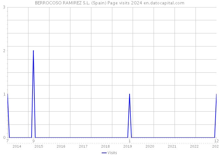 BERROCOSO RAMIREZ S.L. (Spain) Page visits 2024 