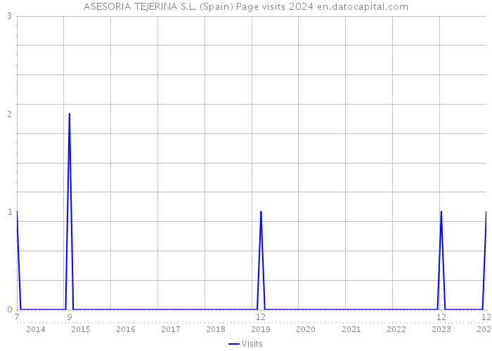 ASESORIA TEJERINA S.L. (Spain) Page visits 2024 