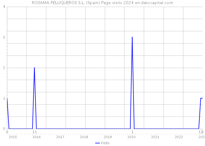 ROSAMA PELUQUEROS S.L. (Spain) Page visits 2024 