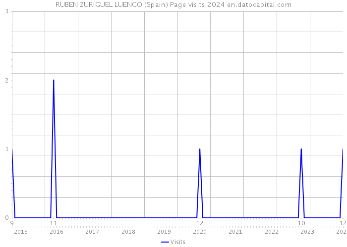 RUBEN ZURIGUEL LUENGO (Spain) Page visits 2024 