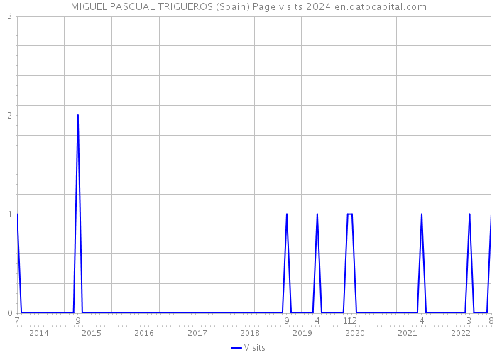 MIGUEL PASCUAL TRIGUEROS (Spain) Page visits 2024 
