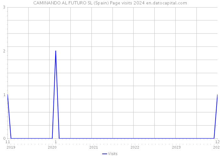 CAMINANDO AL FUTURO SL (Spain) Page visits 2024 