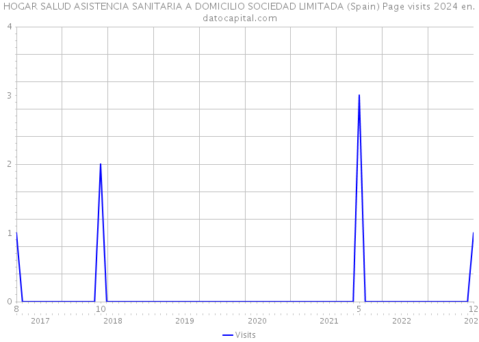 HOGAR SALUD ASISTENCIA SANITARIA A DOMICILIO SOCIEDAD LIMITADA (Spain) Page visits 2024 