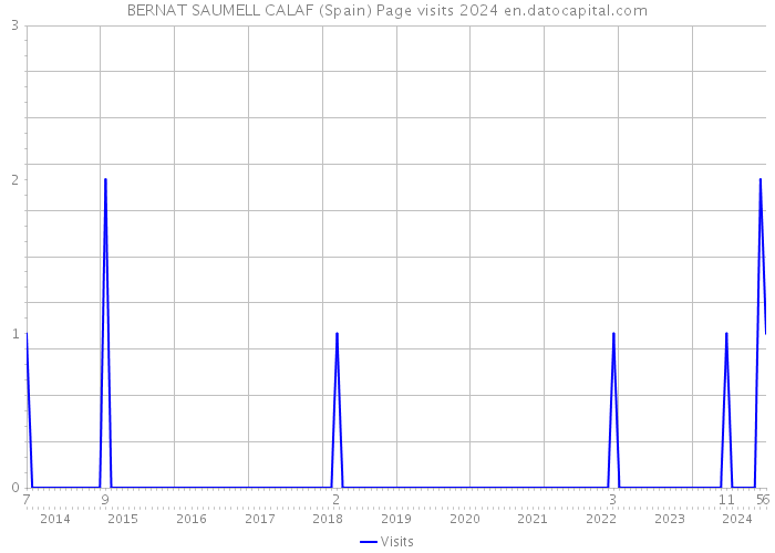 BERNAT SAUMELL CALAF (Spain) Page visits 2024 