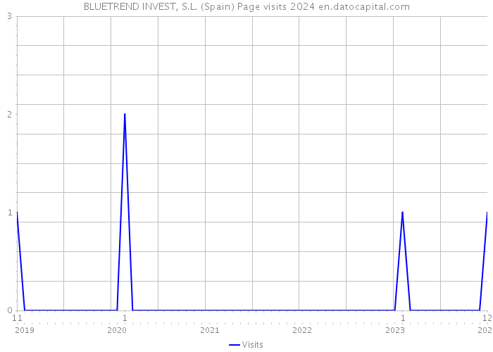 BLUETREND INVEST, S.L. (Spain) Page visits 2024 