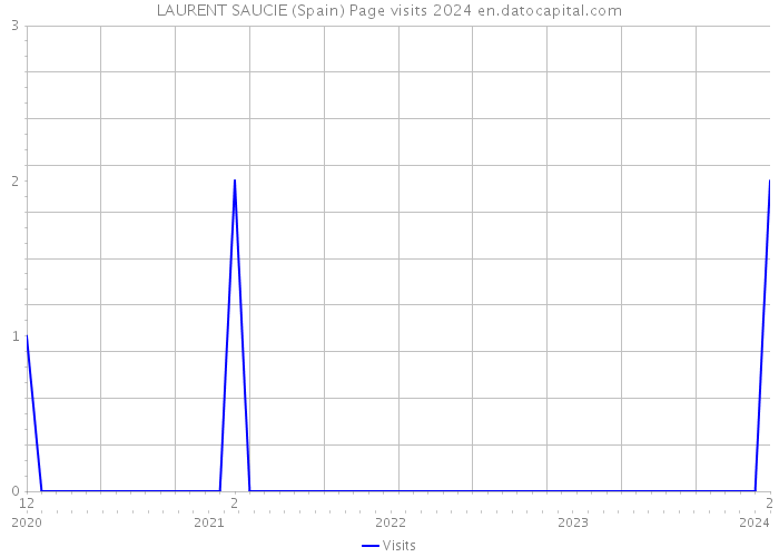 LAURENT SAUCIE (Spain) Page visits 2024 