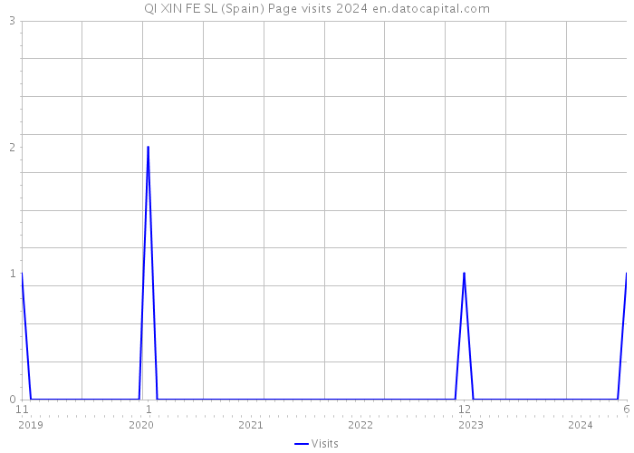 QI XIN FE SL (Spain) Page visits 2024 