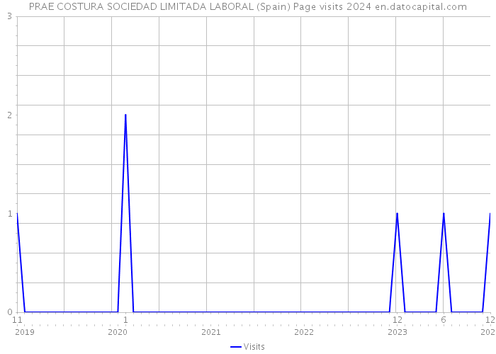 PRAE COSTURA SOCIEDAD LIMITADA LABORAL (Spain) Page visits 2024 