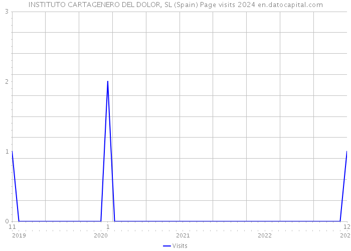 INSTITUTO CARTAGENERO DEL DOLOR, SL (Spain) Page visits 2024 