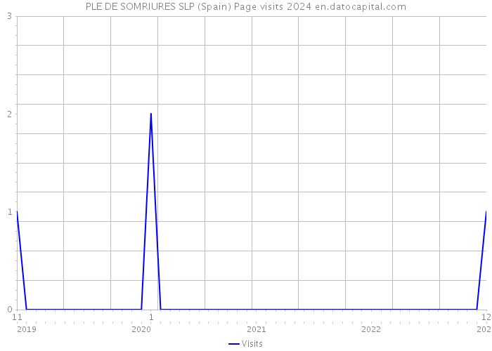 PLE DE SOMRIURES SLP (Spain) Page visits 2024 