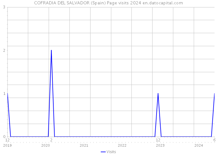 COFRADIA DEL SALVADOR (Spain) Page visits 2024 