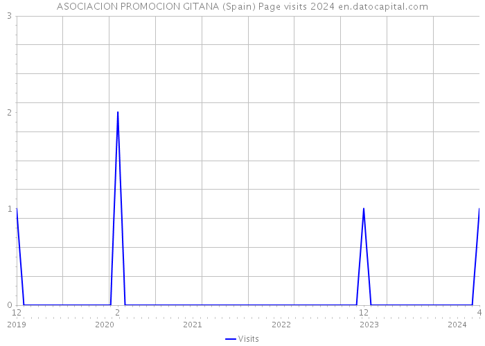 ASOCIACION PROMOCION GITANA (Spain) Page visits 2024 