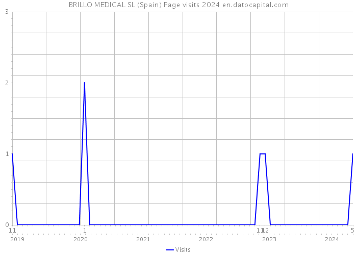 BRILLO MEDICAL SL (Spain) Page visits 2024 