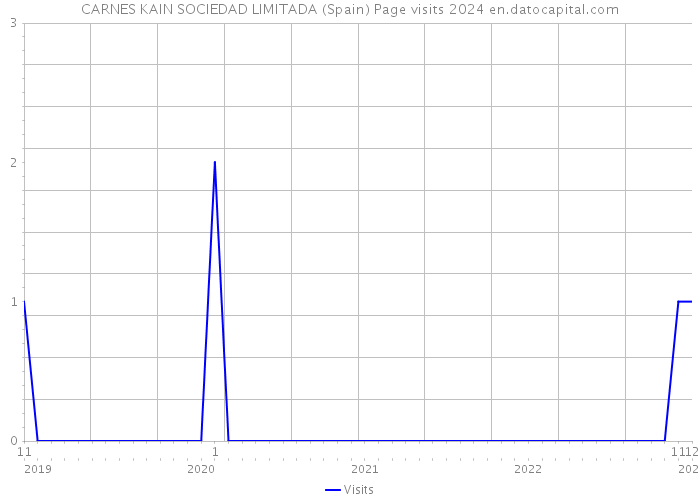 CARNES KAIN SOCIEDAD LIMITADA (Spain) Page visits 2024 