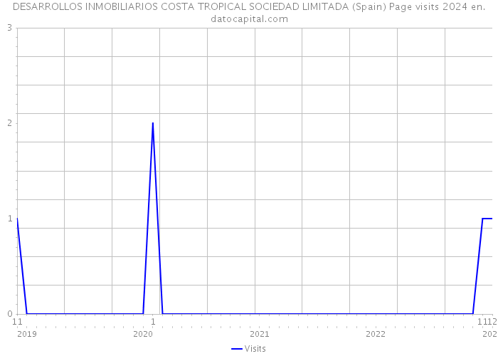 DESARROLLOS INMOBILIARIOS COSTA TROPICAL SOCIEDAD LIMITADA (Spain) Page visits 2024 
