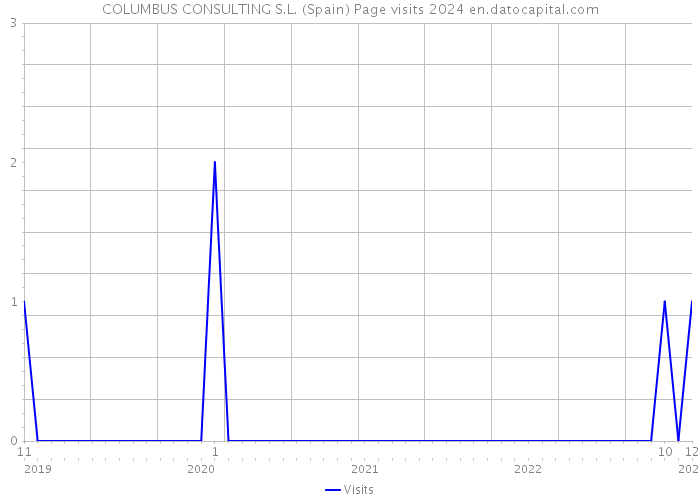 COLUMBUS CONSULTING S.L. (Spain) Page visits 2024 