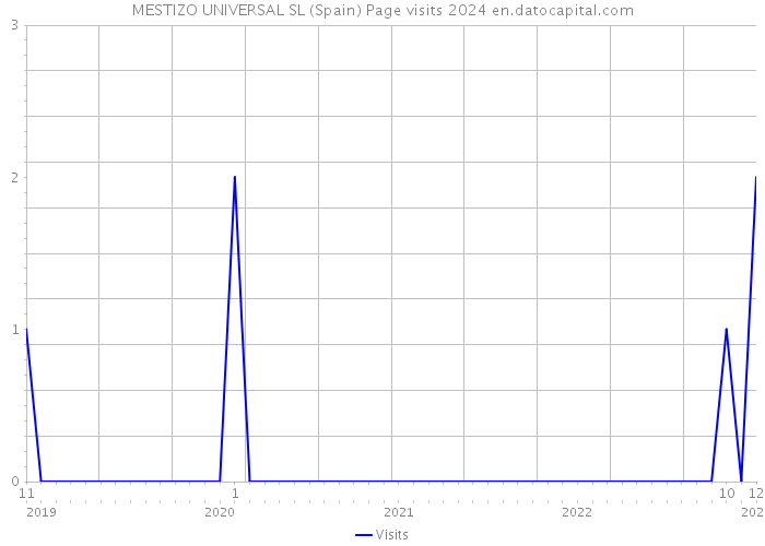 MESTIZO UNIVERSAL SL (Spain) Page visits 2024 