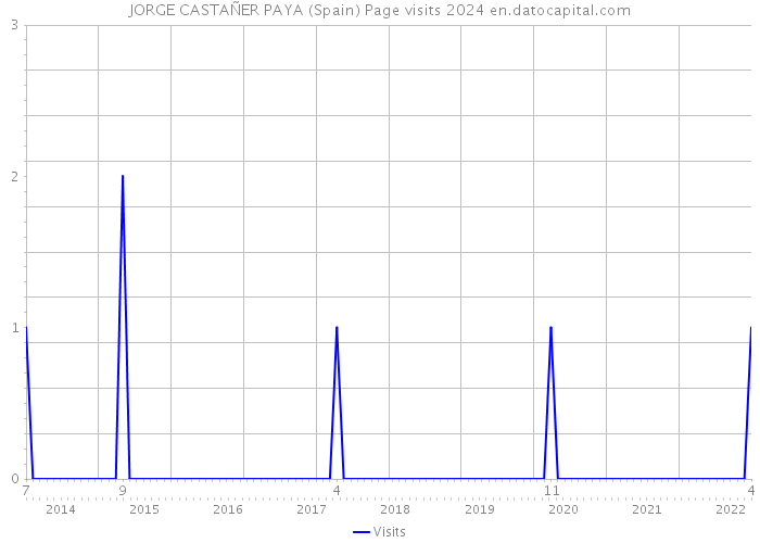 JORGE CASTAÑER PAYA (Spain) Page visits 2024 