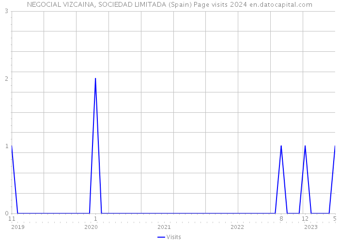 NEGOCIAL VIZCAINA, SOCIEDAD LIMITADA (Spain) Page visits 2024 