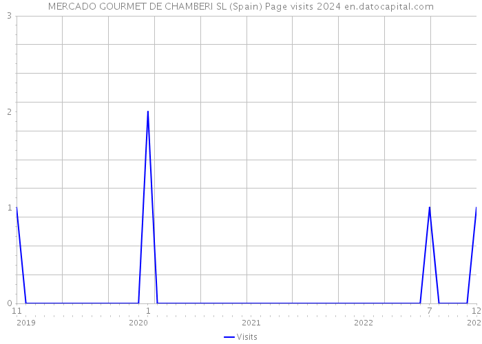 MERCADO GOURMET DE CHAMBERI SL (Spain) Page visits 2024 