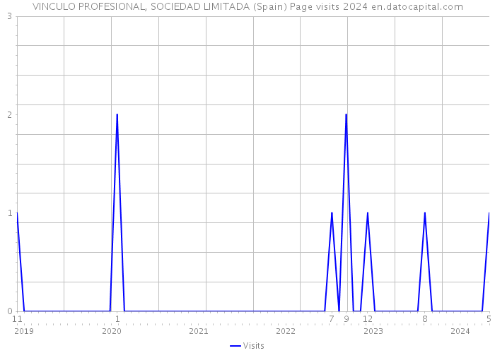 VINCULO PROFESIONAL, SOCIEDAD LIMITADA (Spain) Page visits 2024 
