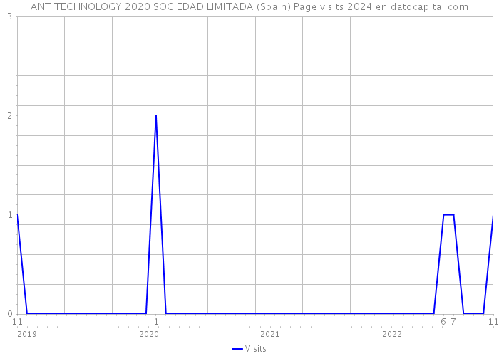 ANT TECHNOLOGY 2020 SOCIEDAD LIMITADA (Spain) Page visits 2024 