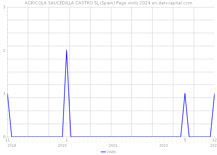 AGRICOLA SAUCEDILLA CASTRO SL (Spain) Page visits 2024 