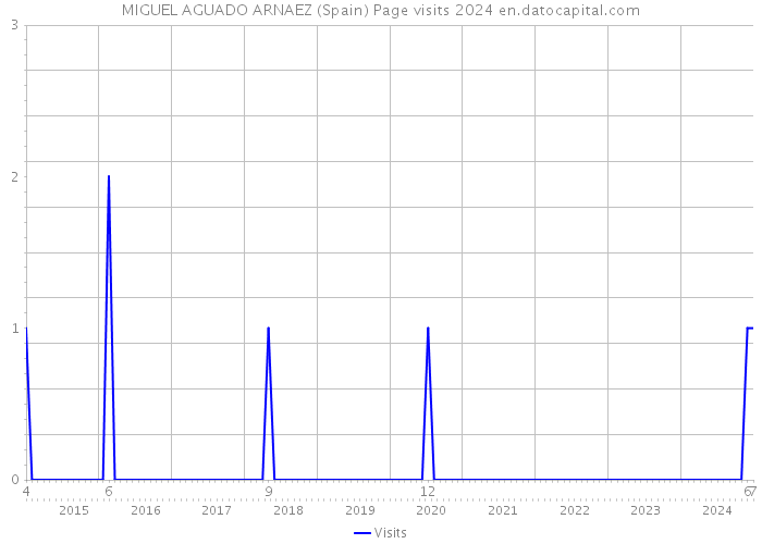 MIGUEL AGUADO ARNAEZ (Spain) Page visits 2024 