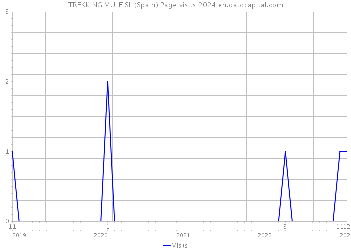 TREKKING MULE SL (Spain) Page visits 2024 