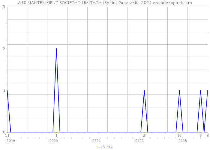 A40 MANTENIMENT SOCIEDAD LIMITADA (Spain) Page visits 2024 