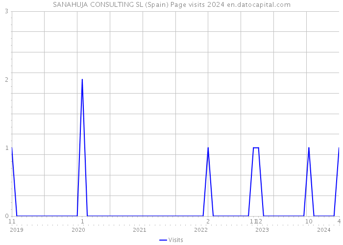 SANAHUJA CONSULTING SL (Spain) Page visits 2024 