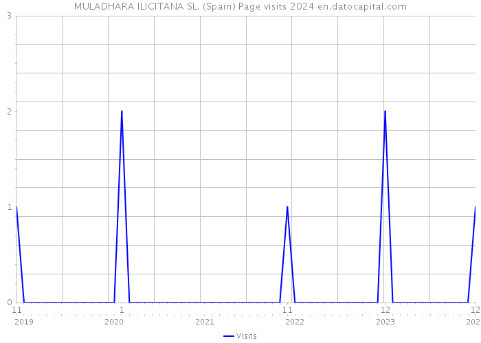 MULADHARA ILICITANA SL. (Spain) Page visits 2024 