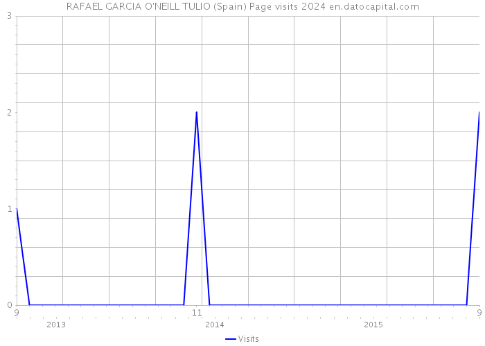 RAFAEL GARCIA O'NEILL TULIO (Spain) Page visits 2024 