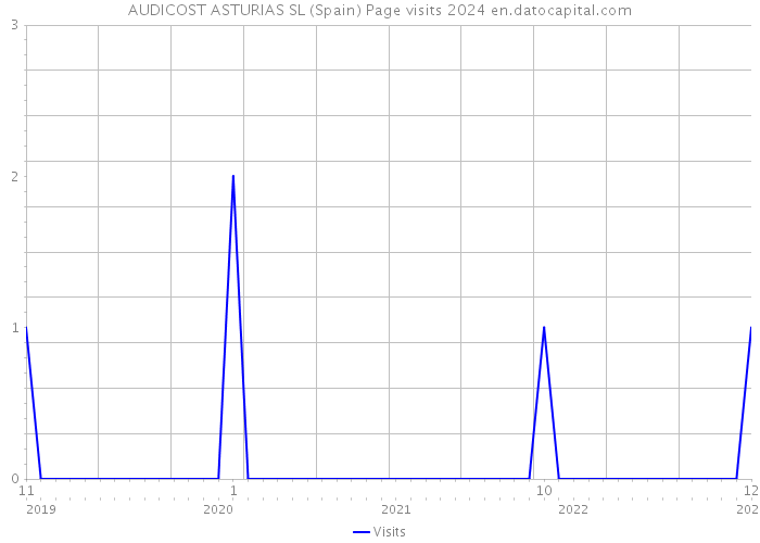 AUDICOST ASTURIAS SL (Spain) Page visits 2024 