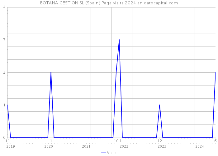 BOTANA GESTION SL (Spain) Page visits 2024 