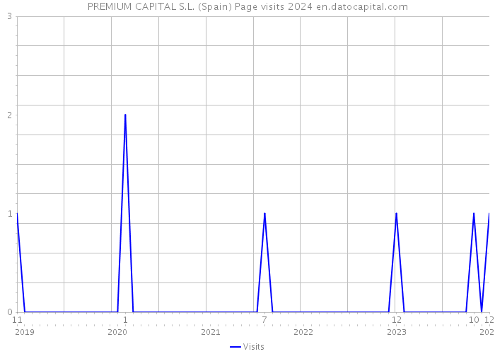 PREMIUM CAPITAL S.L. (Spain) Page visits 2024 