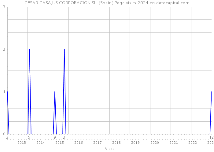 CESAR CASAJUS CORPORACION SL. (Spain) Page visits 2024 