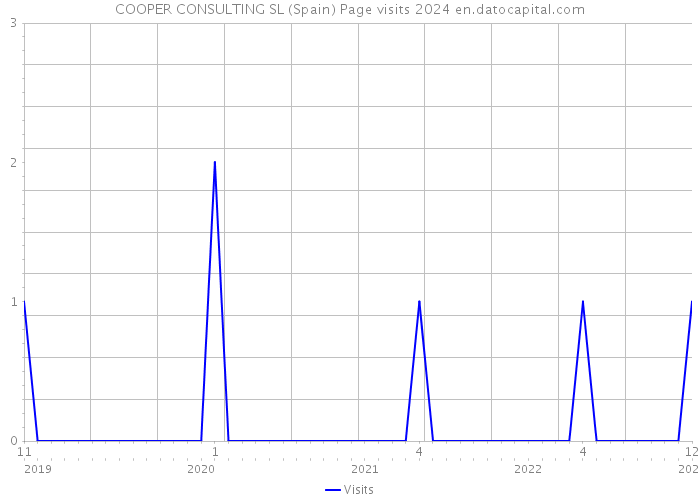 COOPER CONSULTING SL (Spain) Page visits 2024 