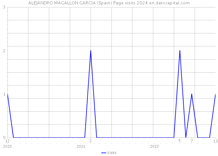 ALEJANDRO MAGALLON GARCIA (Spain) Page visits 2024 