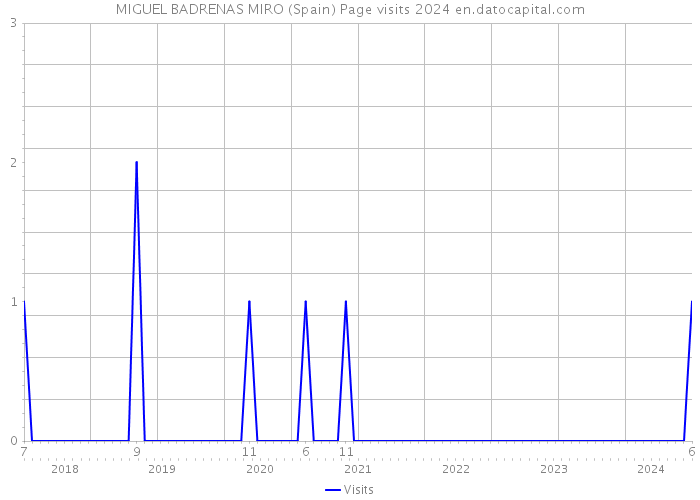 MIGUEL BADRENAS MIRO (Spain) Page visits 2024 