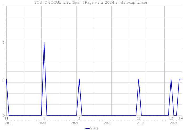 SOUTO BOQUETE SL (Spain) Page visits 2024 