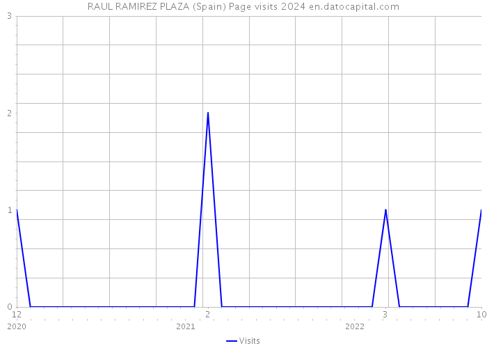 RAUL RAMIREZ PLAZA (Spain) Page visits 2024 