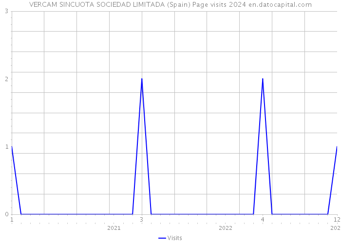 VERCAM SINCUOTA SOCIEDAD LIMITADA (Spain) Page visits 2024 