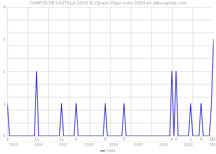 CAMPOS DE CASTILLA 2020 SL (Spain) Page visits 2024 